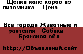 Щенки кане корсо из  питомника! › Цена ­ 65 000 - Все города Животные и растения » Собаки   . Брянская обл.